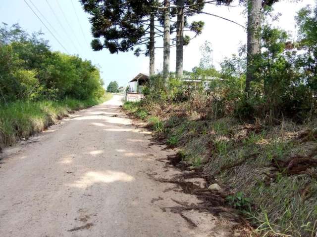 Terreno para Venda em São José dos Pinhais, Agaraú