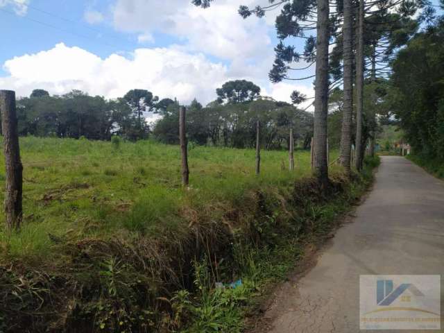 Terreno para Venda em São José dos Pinhais, Contenda, 1 dormitório