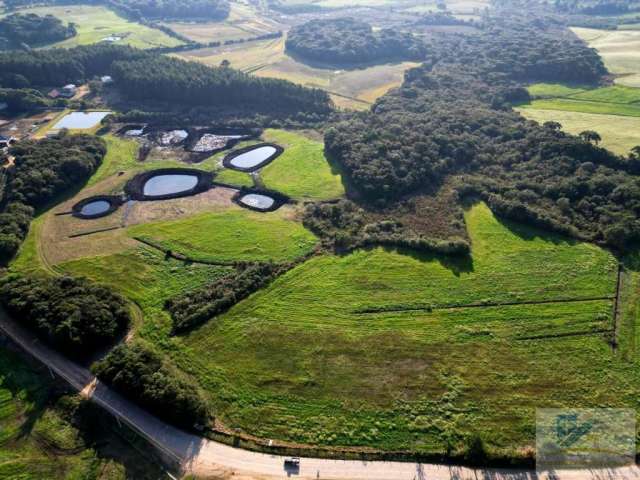 Terreno para Venda em São José dos Pinhais, Campo Largo da Roseira