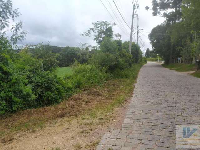 Terreno para Venda em São José dos Pinhais, Contenda, 1 dormitório