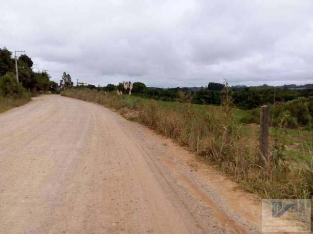 Terreno para Venda em São José dos Pinhais, Contenda, 1 dormitório