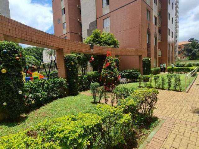 Apartamento com 3 dormitórios à venda, 64 m² por R$ 480.000,00 - Cambuci - São Paulo/SP