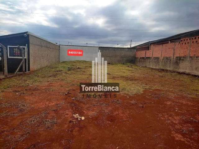 Terreno à venda, 420 m² por R$ 250.000,00 - Cará-cará - Ponta Grossa/PR