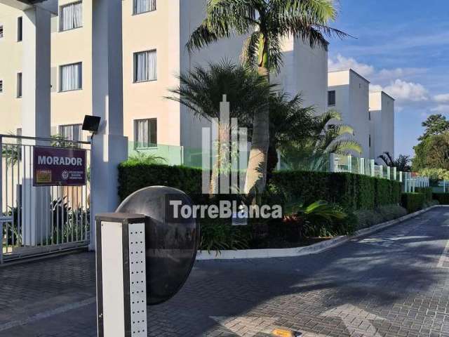 Apartamento térreo , Uvaranas, Ponta Grossa, PR