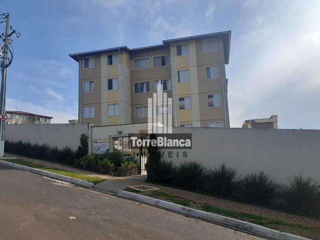 Apartamento com 3 dormitórios para alugar, 60 m² por R$ 700,00/mês - Estrela - Ponta Grossa/PR