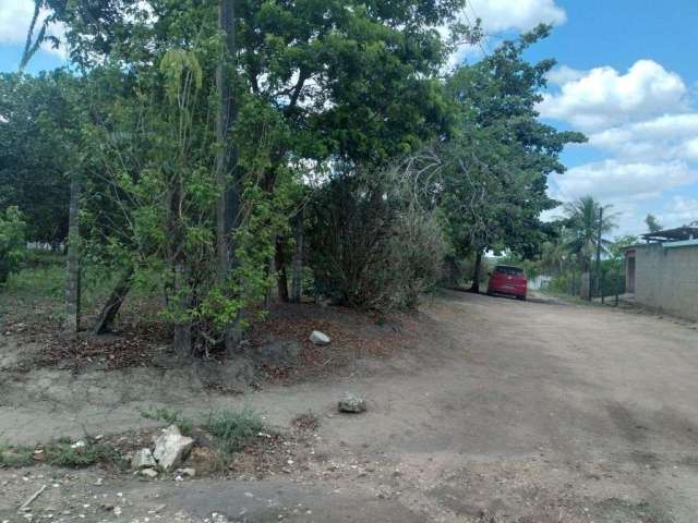 Terreno de 2.800m² à venda, localizado em Chã de Onça, Paudalho - Pernambuco.