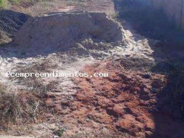 Terreno para Venda em Limeira, Residencial Palmeira Real