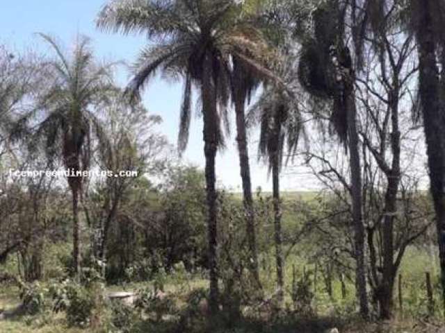 Sítio para Venda em Limeira, Bairro dos Lopes