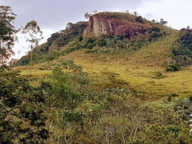 Sítio à venda, 107776 m² por R$ 799.000,00 - Pinga - Pindamonhangaba/SP