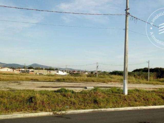 Terreno à venda, 390 m² por R$ 120.000 - Conjunto Habitacional Terra dos Ipês W - Pindamonhangaba/SP