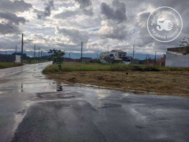 Terreno à venda, 229 m² por R$ 100.000 - César Park - Pindamonhangaba/SP