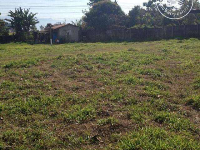 Terreno à venda, 3000 m² por R$ 750.000 - Jardim Santa Cecília - Pindamonhangaba/SP