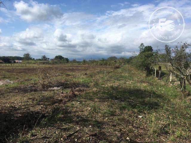 Chácara à venda, 6800 m² por R$ 450.000 - Cruz Pequena - Pindamonhangaba/SP