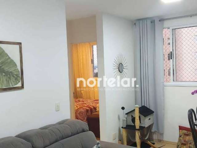 Apartamento com 2 dormitórios à venda, 43 m² por R$ 255.000,00 - Jardim Íris - São Paulo/SP