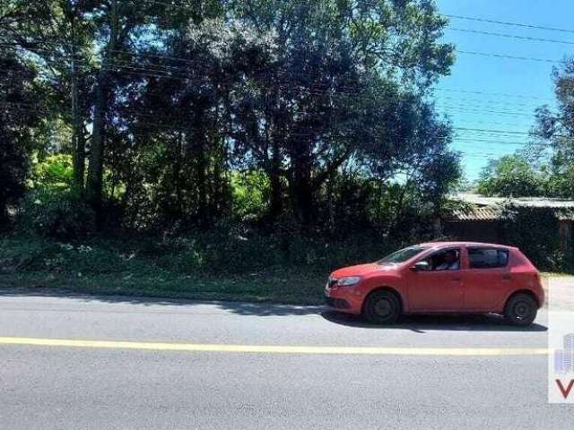 Terreno plano na entrada da Afonso Lourenço Mariante