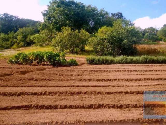 Atenção linda área de 12.335,90 m2 plana e plantada estudo carro e imovel no pagamento