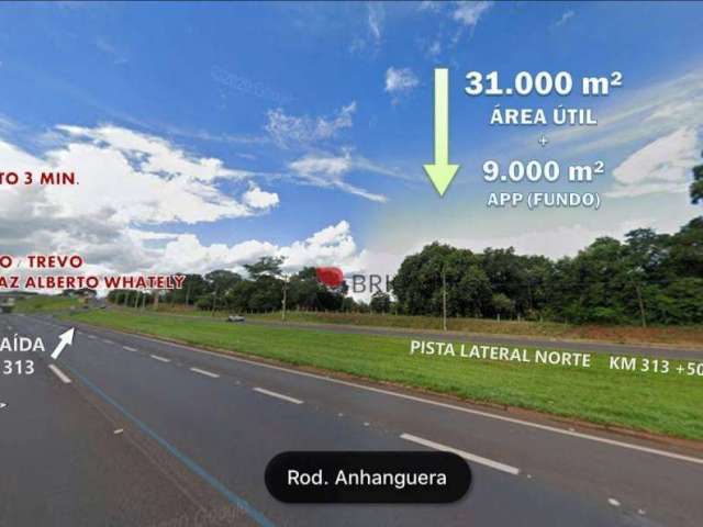 Área na Rodovia Anhanguera, a venda, 40.000m²,  RIBEIRÃO PRETO/SP