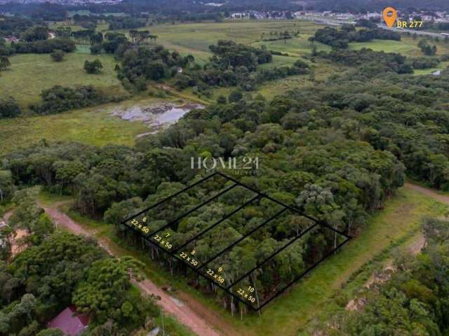 Terreno à venda em São José dos Pinhais