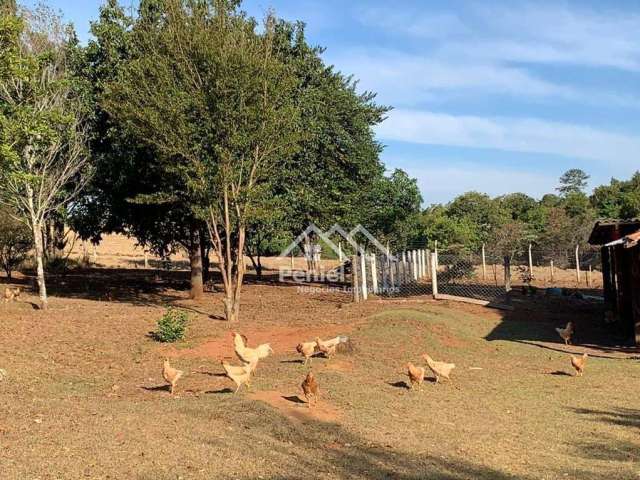 Sítio com 4 dormitórios à venda, 36300 m² por R$ 2.600.000,00 - Zona Rural - Cajuru/SP