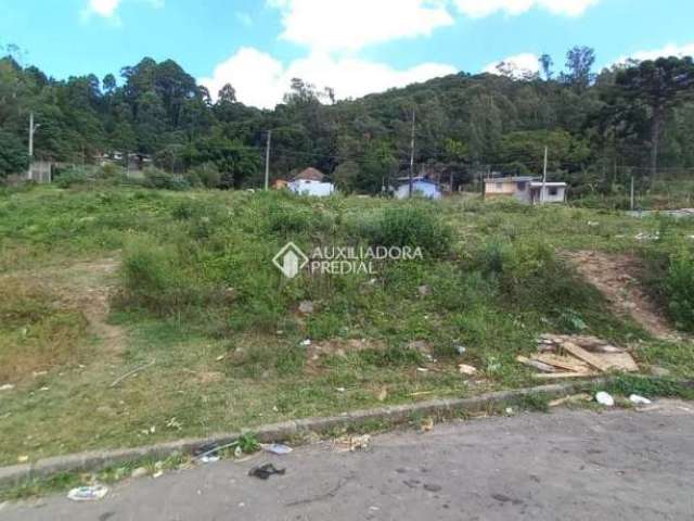 Terreno à venda na Rua João Celli, 2, Santa Catarina, Caxias do Sul, 300 m2 por R$ 110.000