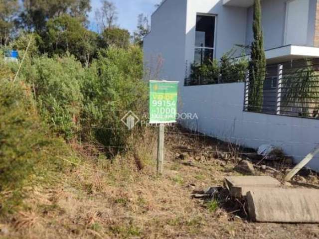 Terreno à venda na Estrada Municipal Manoel Pedrotti, 999, Diamantino, Caxias do Sul, 330 m2 por R$ 169.600