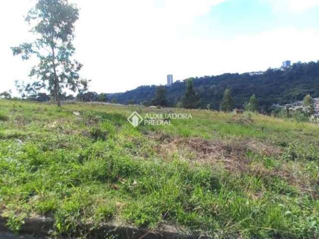 Terreno à venda na Rua João Celli, 19, Santa Catarina, Caxias do Sul, 300 m2 por R$ 125.000