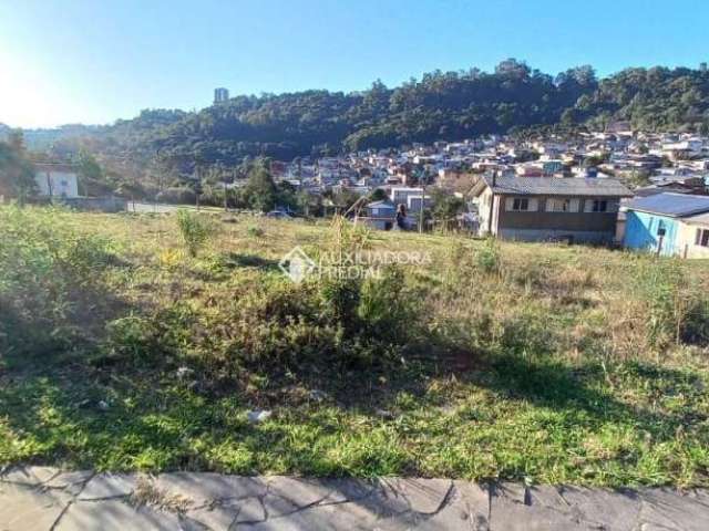 Terreno à venda na Rua João Celli, 8, Santa Catarina, Caxias do Sul, 300 m2 por R$ 150.000