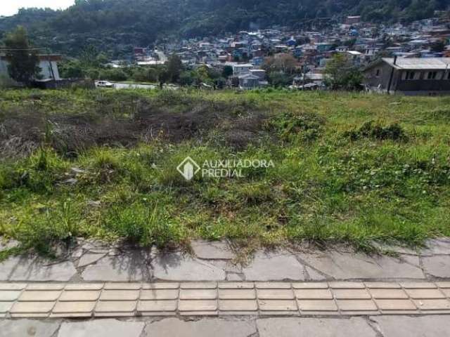 Terreno à venda na Rua Luiz Covolan, 6, Santa Catarina, Caxias do Sul, 308 m2 por R$ 130.000