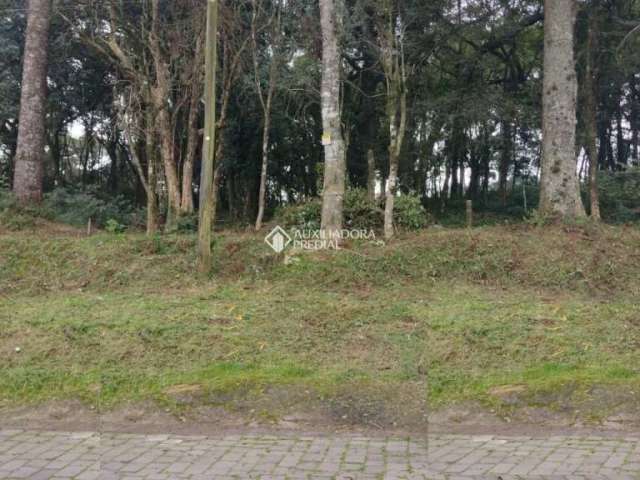 Terreno à venda na Rua Theodoro Bianchi, 102, Bela Vista, Caxias do Sul, 600 m2 por R$ 325.000