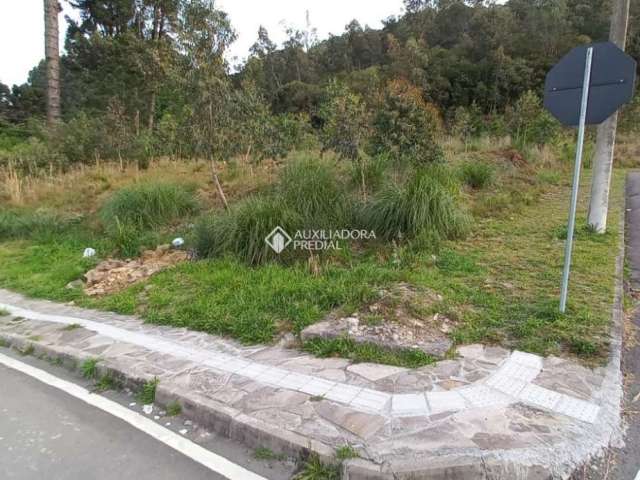 Terreno à venda na Rua Luiz Covolan, 4548, Santa Catarina, Caxias do Sul, 320 m2 por R$ 200.000