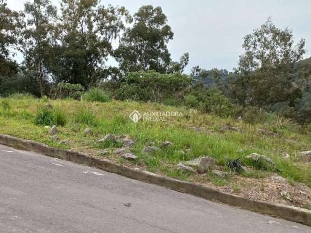 Terreno à venda na Rua Silviro Cassina, 109, Santa Catarina, Caxias do Sul, 314 m2 por R$ 150.000