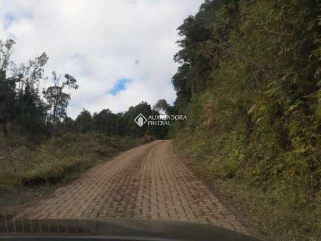 Terreno à venda na Estrada BR 116, 99, Pedras Brancas, São Marcos, 10330 m2 por R$ 254.400