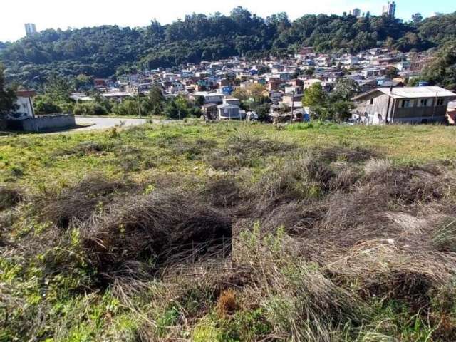 Terreno à venda na Rua Luiz Covolan, 05, Santa Catarina, Caxias do Sul, 302 m2 por R$ 130.000