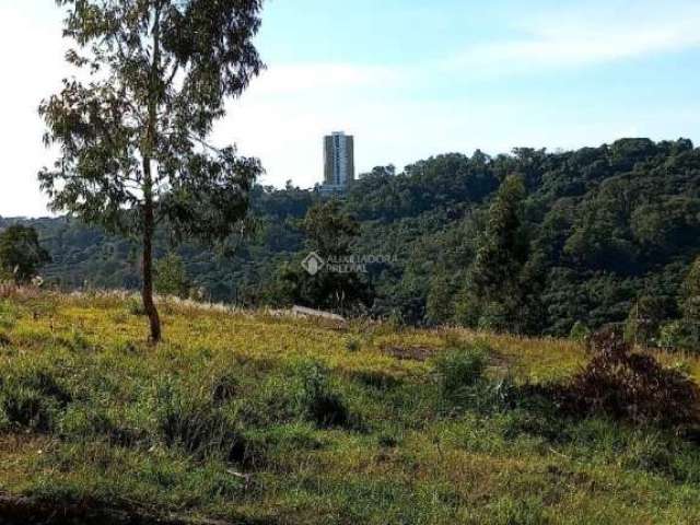 Terreno à venda na Rua Francisca de Steffani Doncato, 18, Santa Catarina, Caxias do Sul, 302 m2 por R$ 130.000