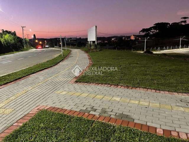 Terreno à venda na Estrada Vereador Ary Antônio Bergozza, 99, Nossa Senhora da Saúde, Caxias do Sul, 344 m2 por R$ 330.000