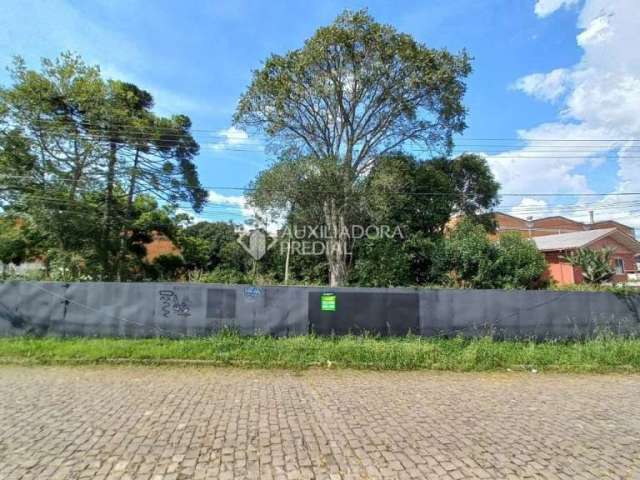 Terreno à venda na Aparício Borghetti, 08, São Cristóvão, Caxias do Sul, 715 m2 por R$ 650.000