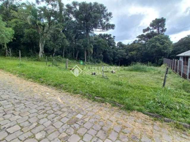 Terreno à venda na Rua Angelo Frare, 999, São Luiz, Caxias do Sul, 558 m2 por R$ 350.000