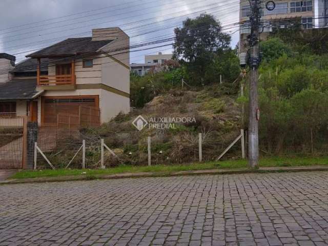 Terreno comercial à venda na Rua Honeyde Bertussi, 999, Nossa Senhora da Saúde, Caxias do Sul, 360 m2 por R$ 280.000