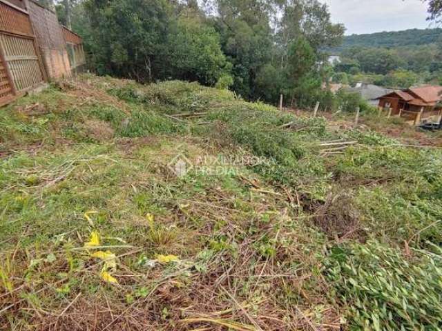 Terreno à venda na Rua Emma Vedana Palhosa, 999, Santa Catarina, Caxias do Sul, 360 m2 por R$ 212.000