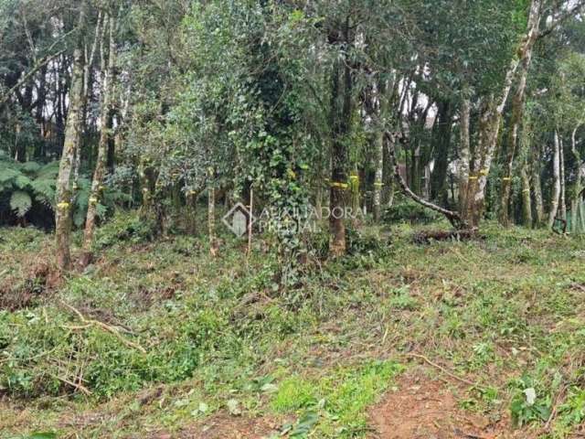 Terreno à venda na Da Avenca, 1, Leodoro de Azevedo, Canela, 681 m2 por R$ 380.000