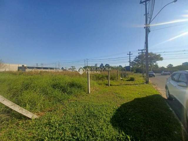 Terreno comercial para alugar na Avenida Açucena, 1, Estância Velha, Canoas, 908 m2 por R$ 3.000