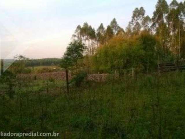 Fazenda à venda na BR-386, 2, Vendinha, Triunfo, 92925 m2 por R$ 574.468