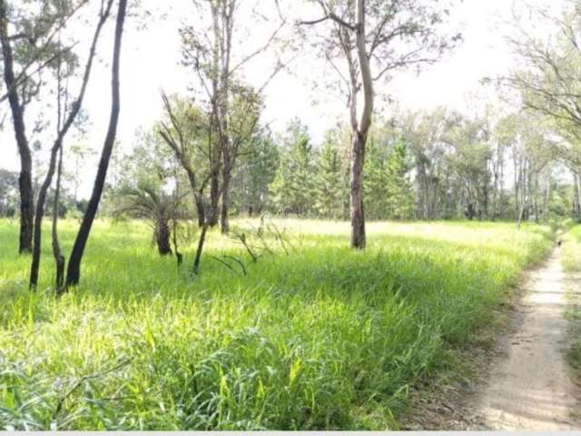 Terreno à venda na Rua João Antônio Lopes, 4000, Lomba do Pinheiro, Porto Alegre, 3538 m2 por R$ 4.500.000