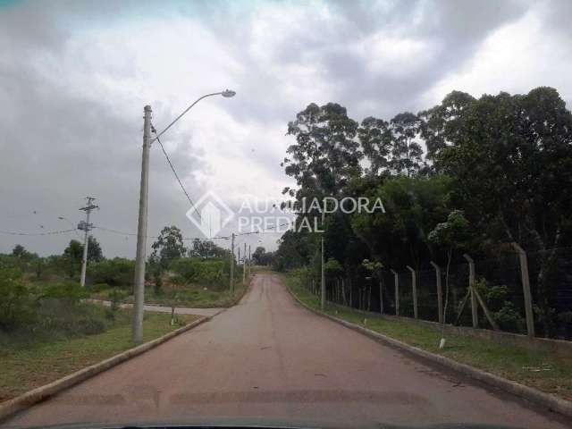 Terreno em condomínio fechado à venda na Estrada Cristiano Kraemer, 5000, Vila Nova, Porto Alegre, 300000 m2 por R$ 250.000