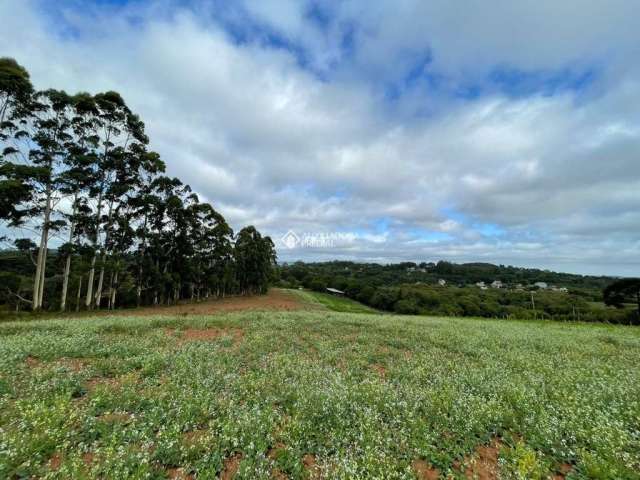 Terreno à venda na Estrada Costa Gama, 2933, Hípica, Porto Alegre, 98080 m2 por R$ 15.000.000