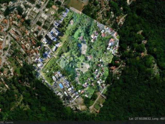 Terreno à venda na Servidão Antônio Irineu da Silva, 330, Córrego Grande, Florianópolis, 45000 m2 por R$ 11.500.000