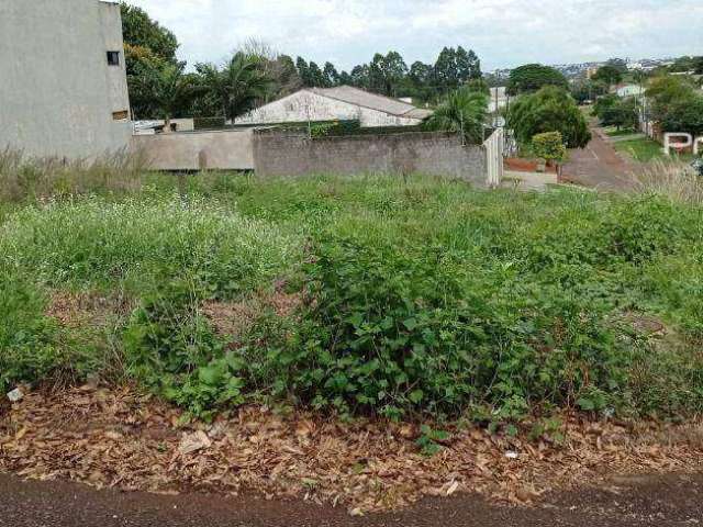 Terreno à venda, 448 m² por R$ 600.000,00 - Pacaembu - Cascavel/PR