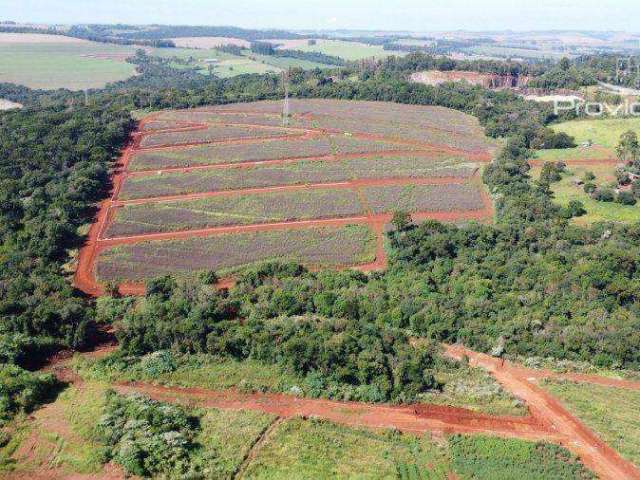 Terreno à venda, 236 m² por R$ 158.120,00 - Universitário - Cascavel/PR