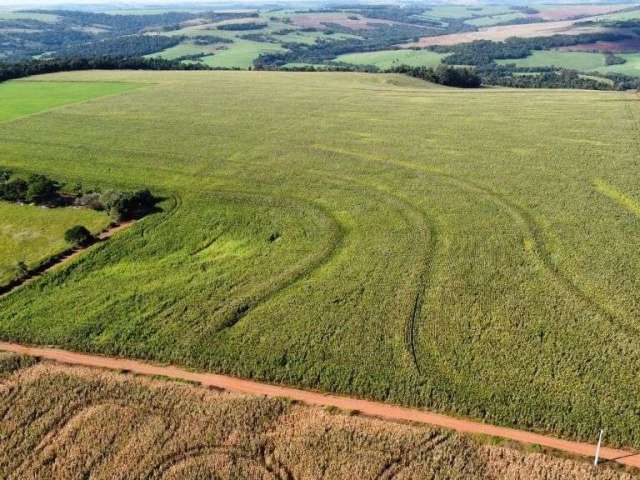 Fazenda à venda, 1863400 m² por R$ 36.190.000 - Zona Rural - Vera Cruz do Oeste/PR