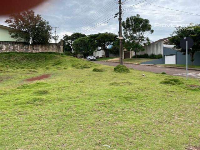 Terreno à venda, 448 m² por R$ 650.000,00 - Pacaembu - Cascavel/PR